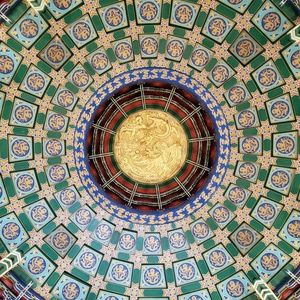 Meet your Posher, Robin